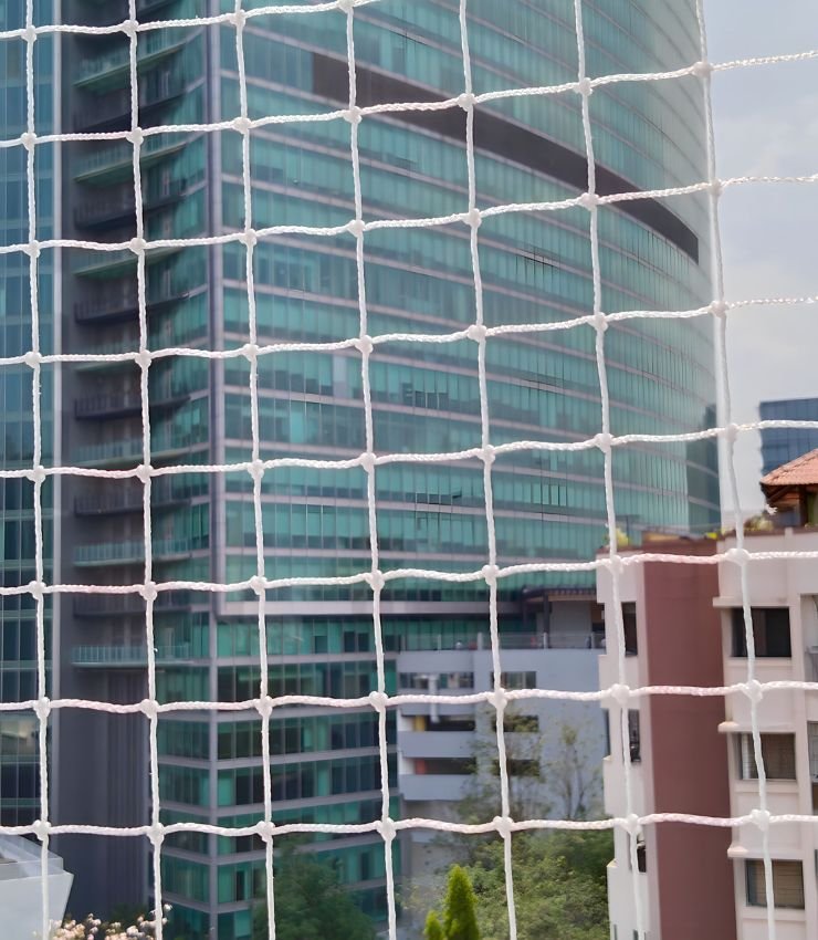 Pigeon Netting Service