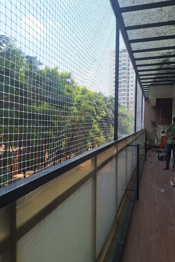 Pigeon Safety Nets